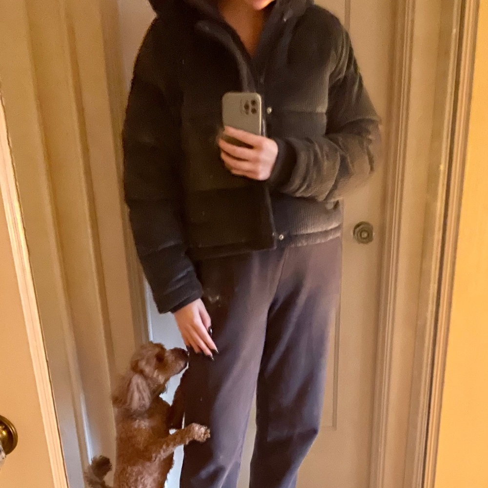 Aritzia Super Puff Shorty Jacket - Size Small - Elegant Charcoal - Corduroy - Picture 3 of 4